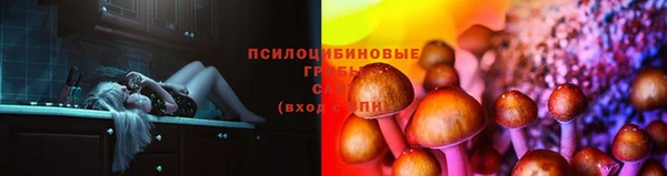 MDMA Premium VHQ Вяземский