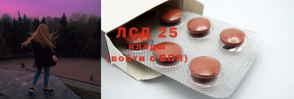 гидропоника Горнозаводск