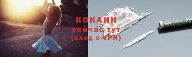 гидропоника Горнозаводск