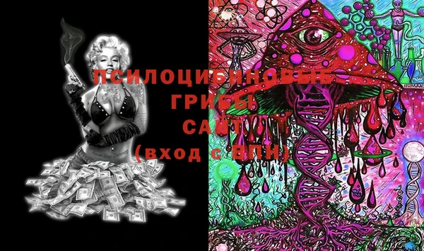 MDMA Premium VHQ Вяземский