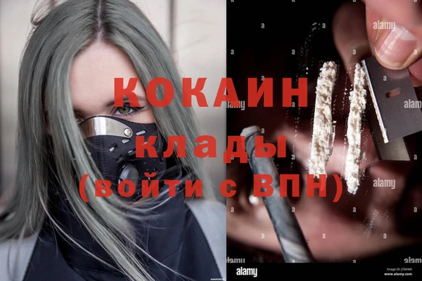гидра Горняк