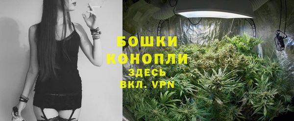 MDMA Premium VHQ Вяземский